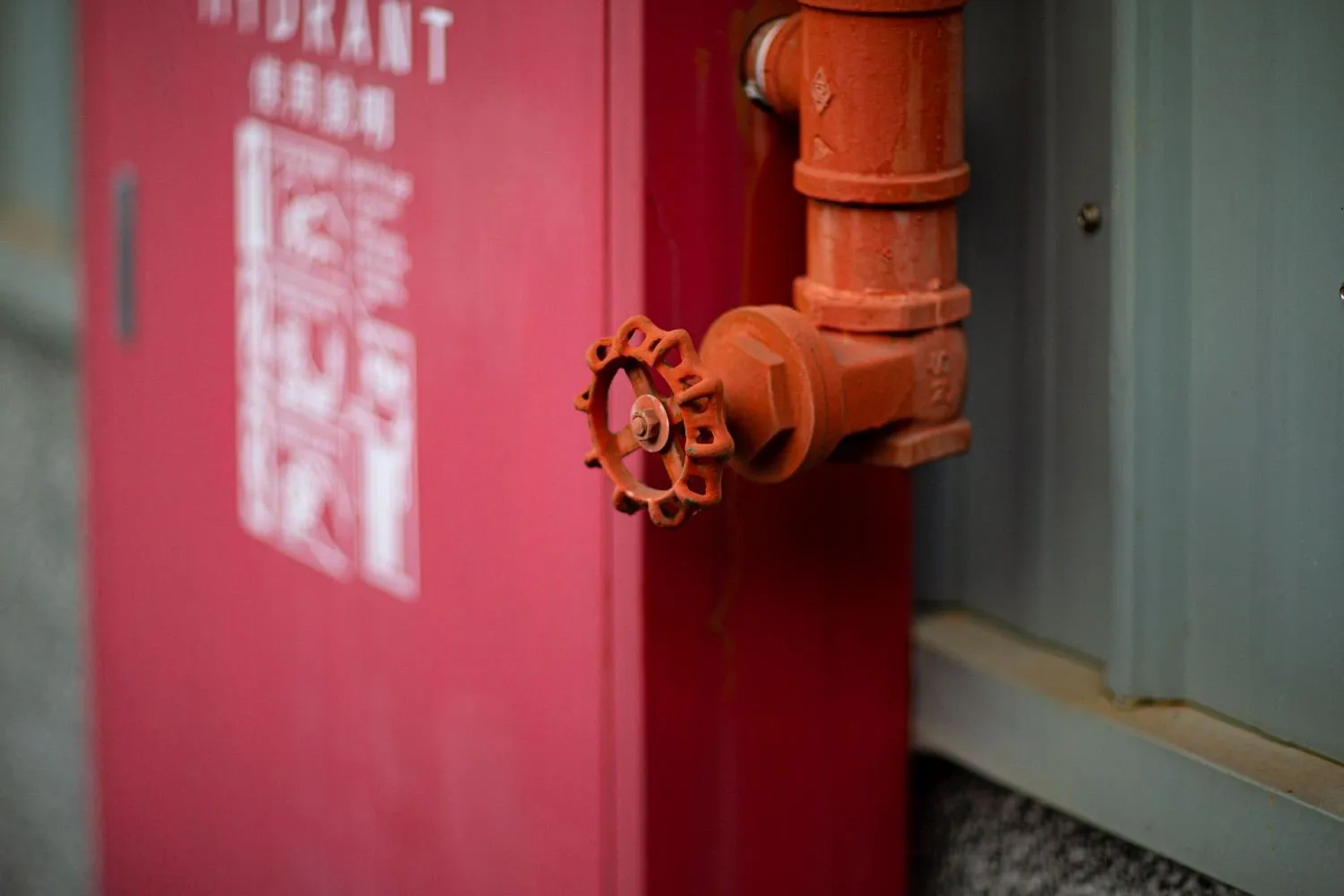Plumber inspecting a leaking household pipe in Suffolk County, NY