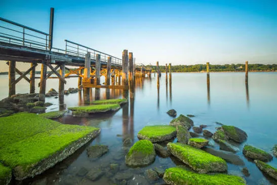 Wantagh, NY